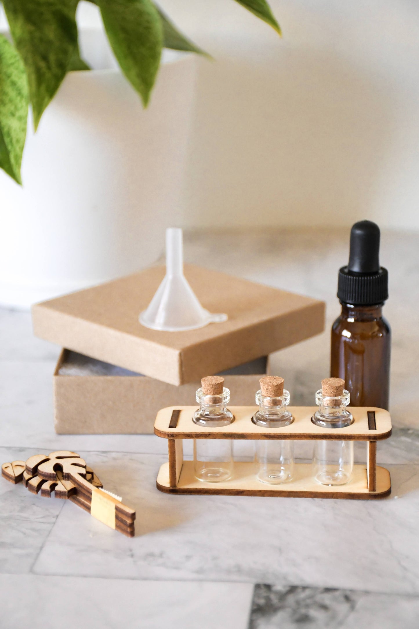 Houseplant Theme Tiny Propagation Leaf Diffusers