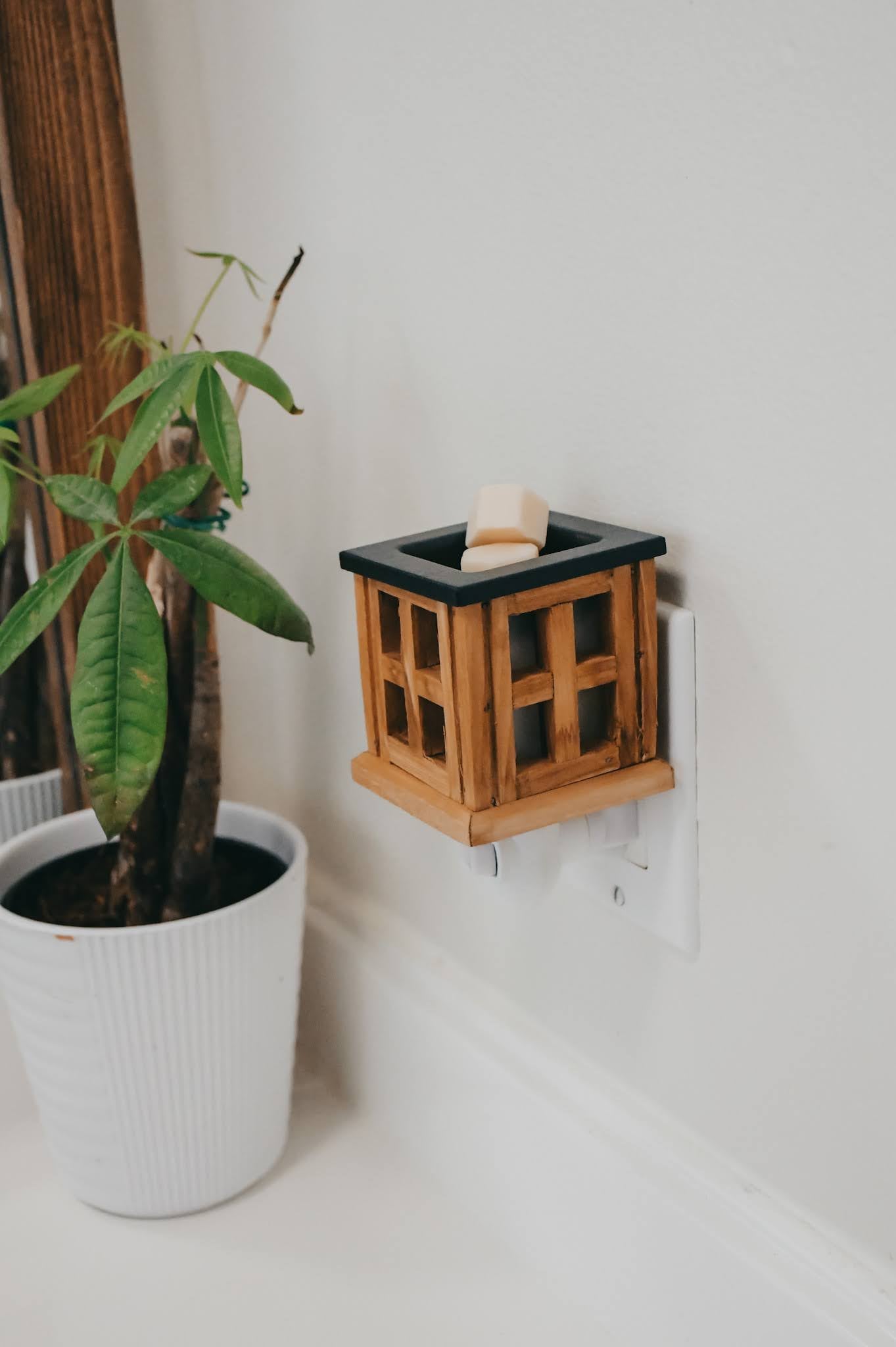 Pewter Walnut Midsize Illumination Fragrance Warmer