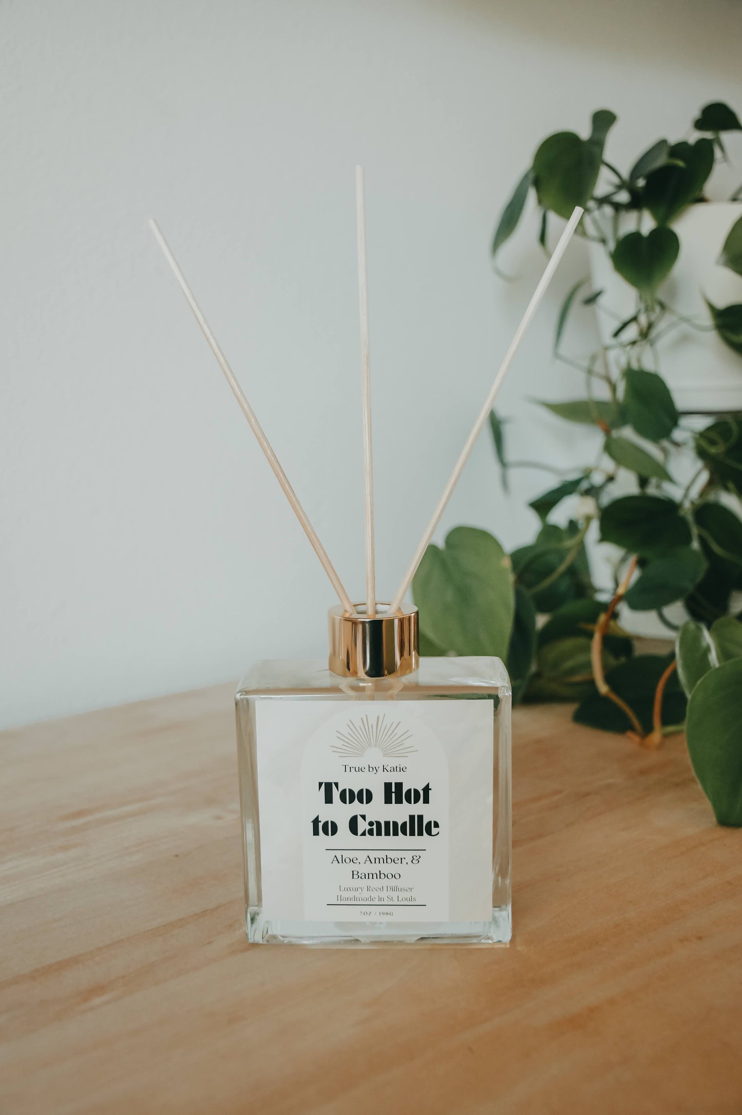 Too Hot to Candle Non-Toxic Reed Diffuser